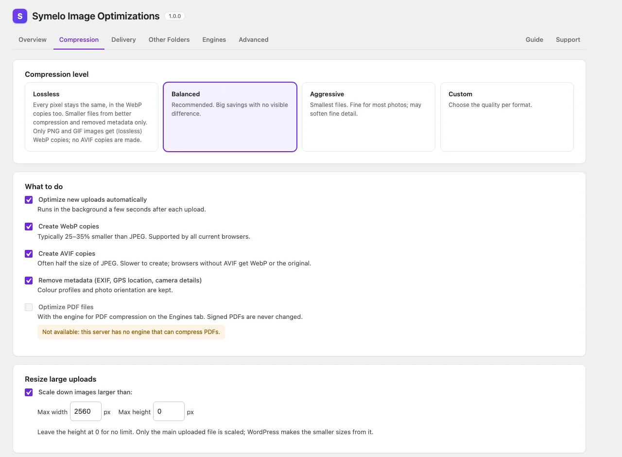 Compression: level, formats, resizing and metadata.